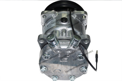 Компрессор АС.100.252 12V