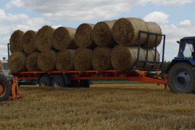 Полуприцеп специальный AMKODOR STS102P Полуприцеп специальный AMKODOR STS102P